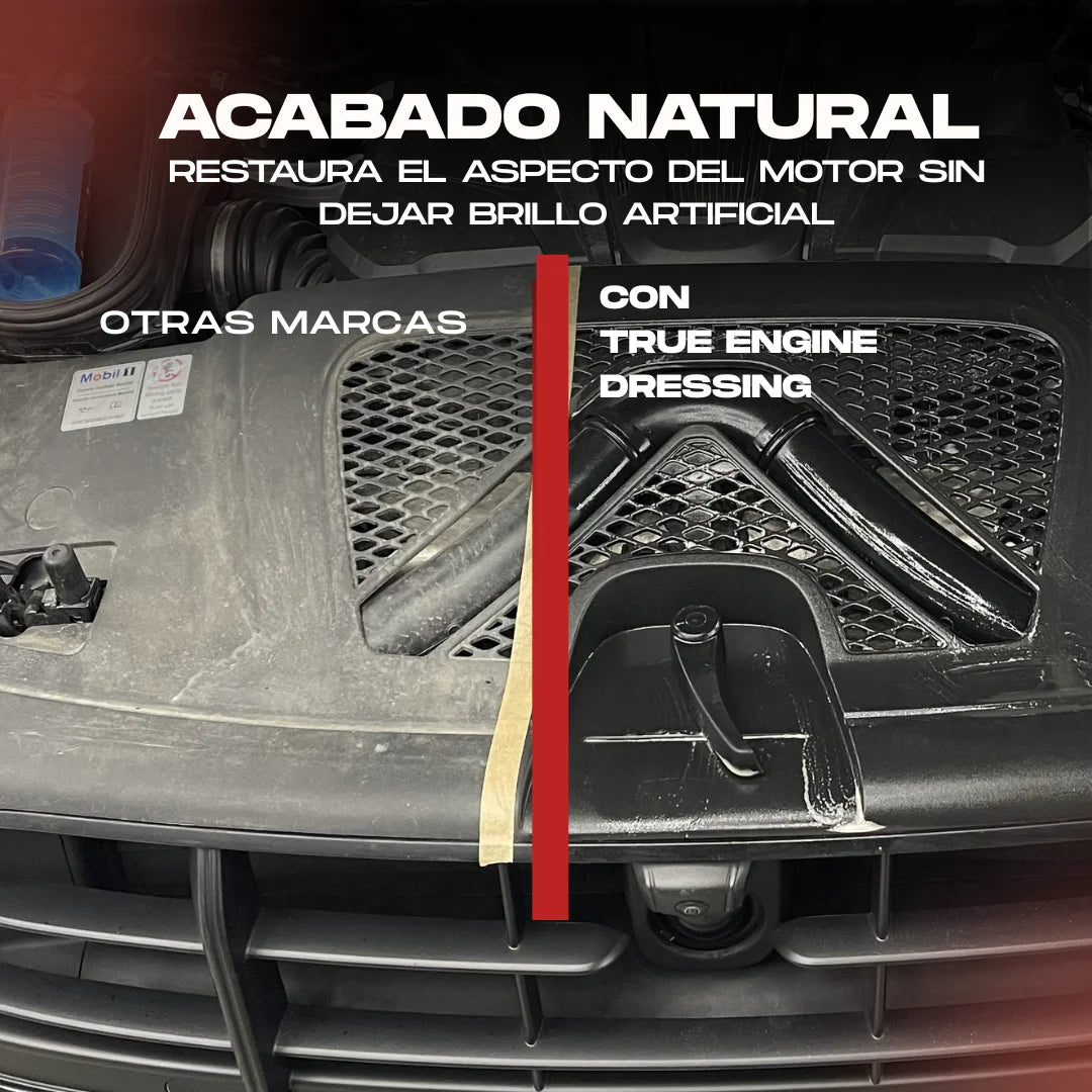 Acondicionador de Motor y Plásticos True Engine Dressing
