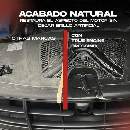 Acondicionador de Motor y Plásticos True Engine Dressing