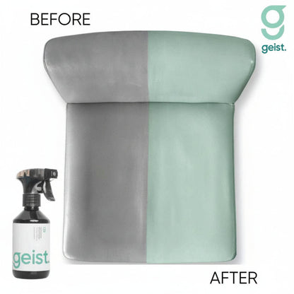 Geist Kit 3 Minus Care para cuero y vinilo