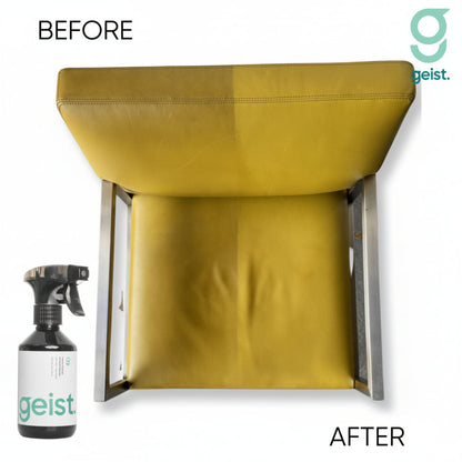 Geist Kit 3 Minus Care para cuero y vinilo