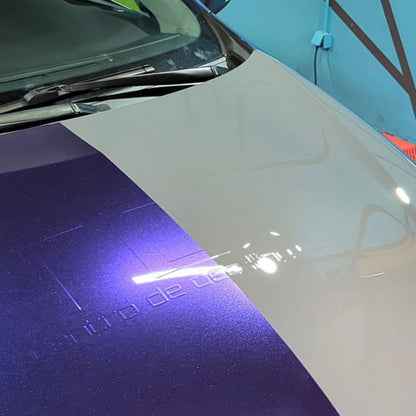 Training Intensivo PPF de Color TDG — 19.02.2027 (4h)