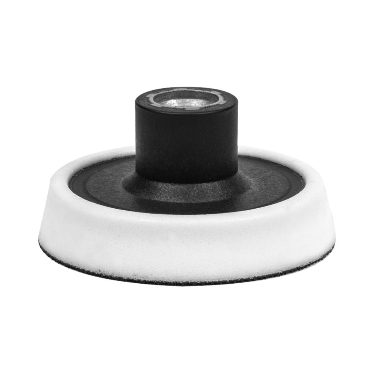Scholl Concepts Plato pulir M14