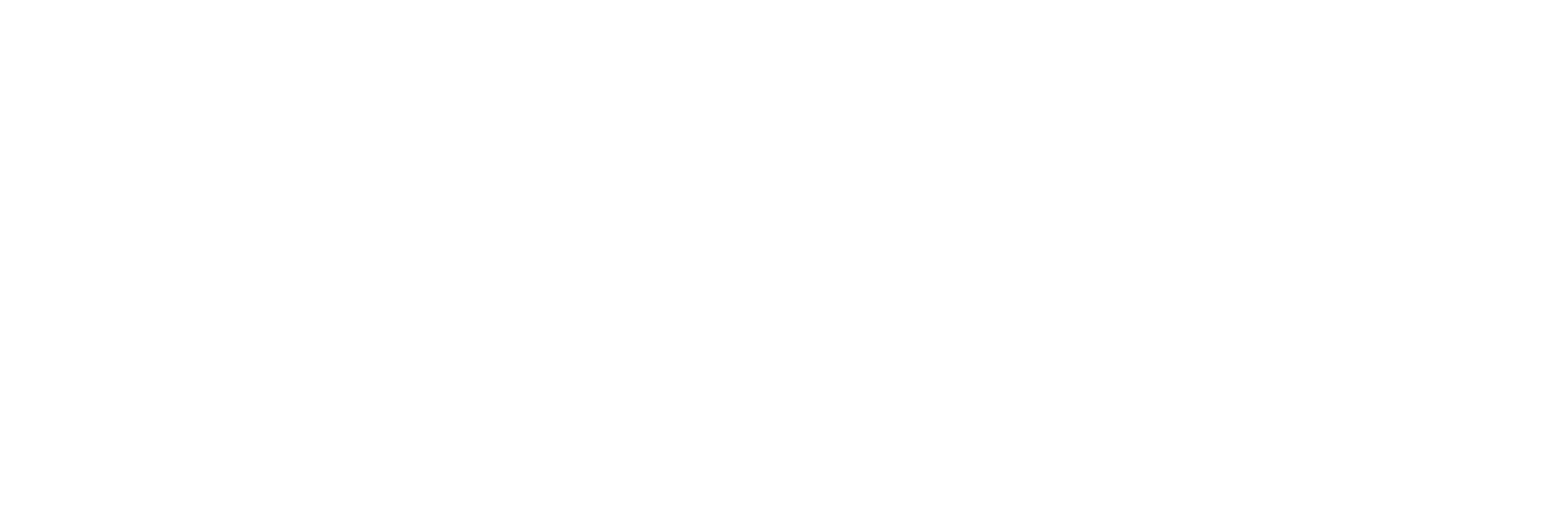 Logotipo blanco de TDG True Detailing Garage, especialistas en servicios profesionales de detailing